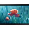 Samsung Smart Signage QB13R (13") 33cm LED-Display