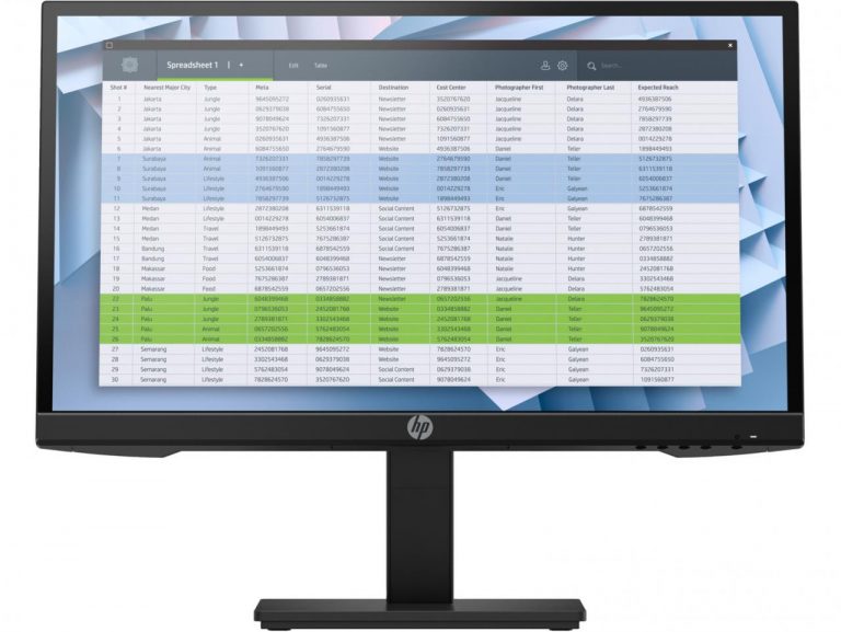 HP P22h G4 Monitor 54,60cm (21,5 Zoll)