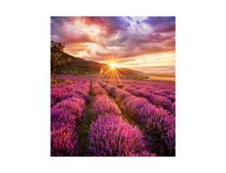 Samsung Smart Signage IF015HT LED-Cabinet 1,5 mm Pixelabstand schwarz (LH015IFHTAS/EN)